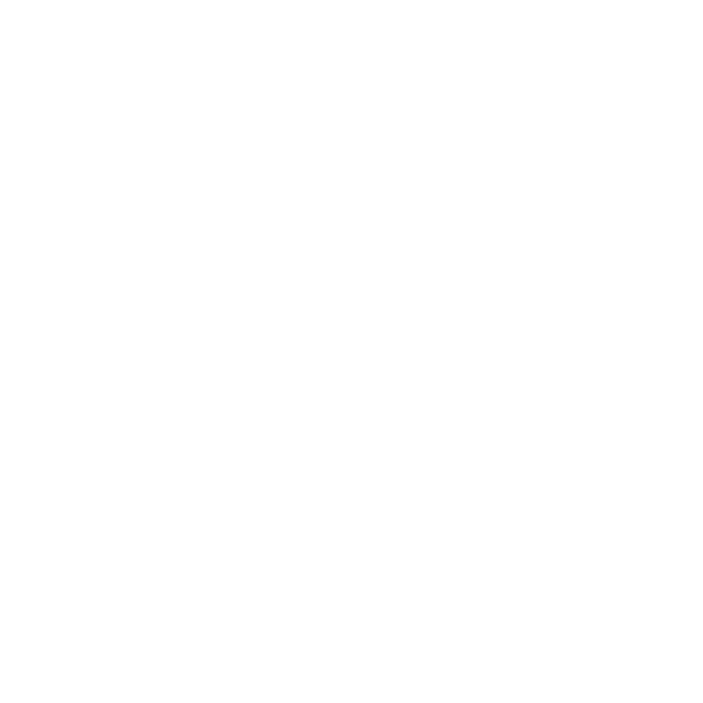 icon skate-noleggio-bologna